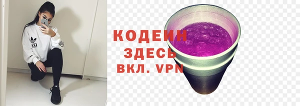 индика Лиски