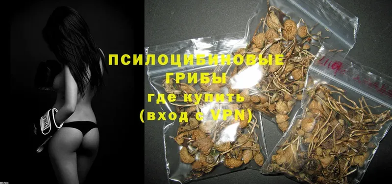 Галлюциногенные грибы MAGIC MUSHROOMS  Зуевка 