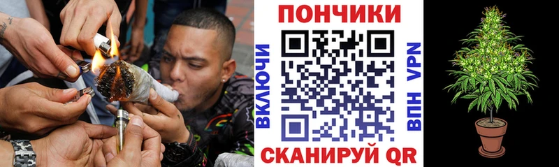 Каннабис MAZAR  Зуевка 